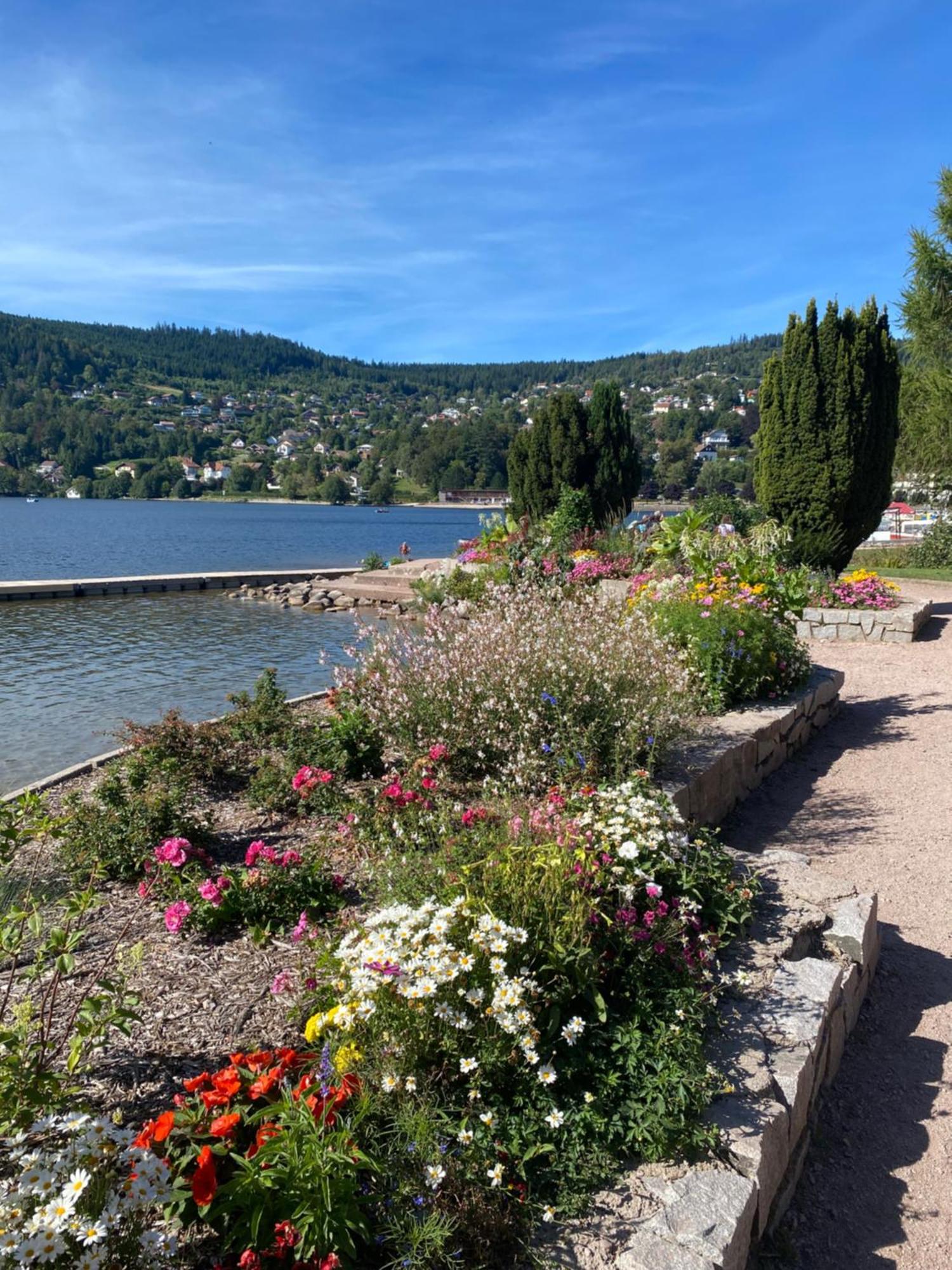 Charmant Chalet, Spacieux, Proche Du Lac, Vue Sur La Montagne Gérardmer Екстериор снимка