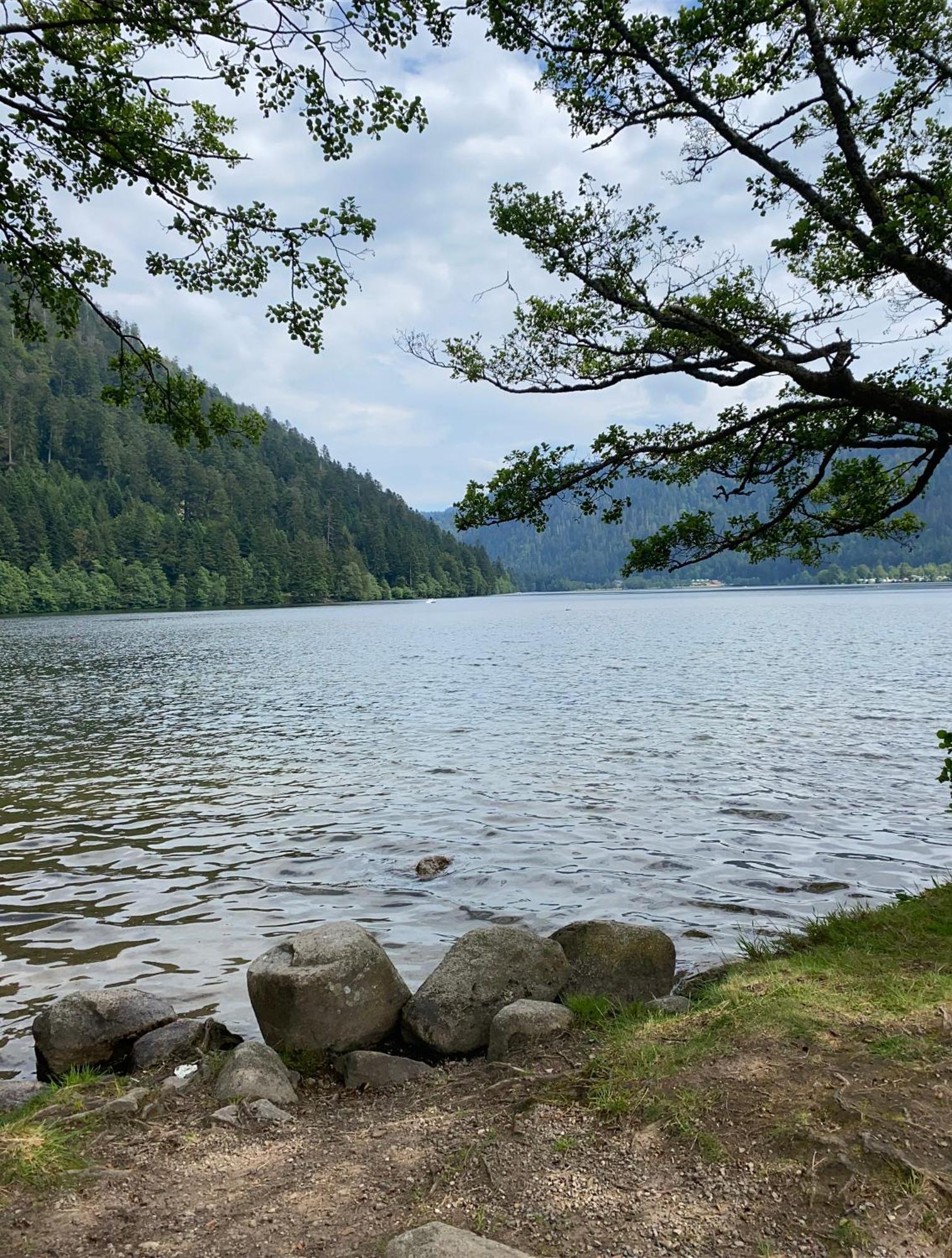 Charmant Chalet, Spacieux, Proche Du Lac, Vue Sur La Montagne Gérardmer Екстериор снимка